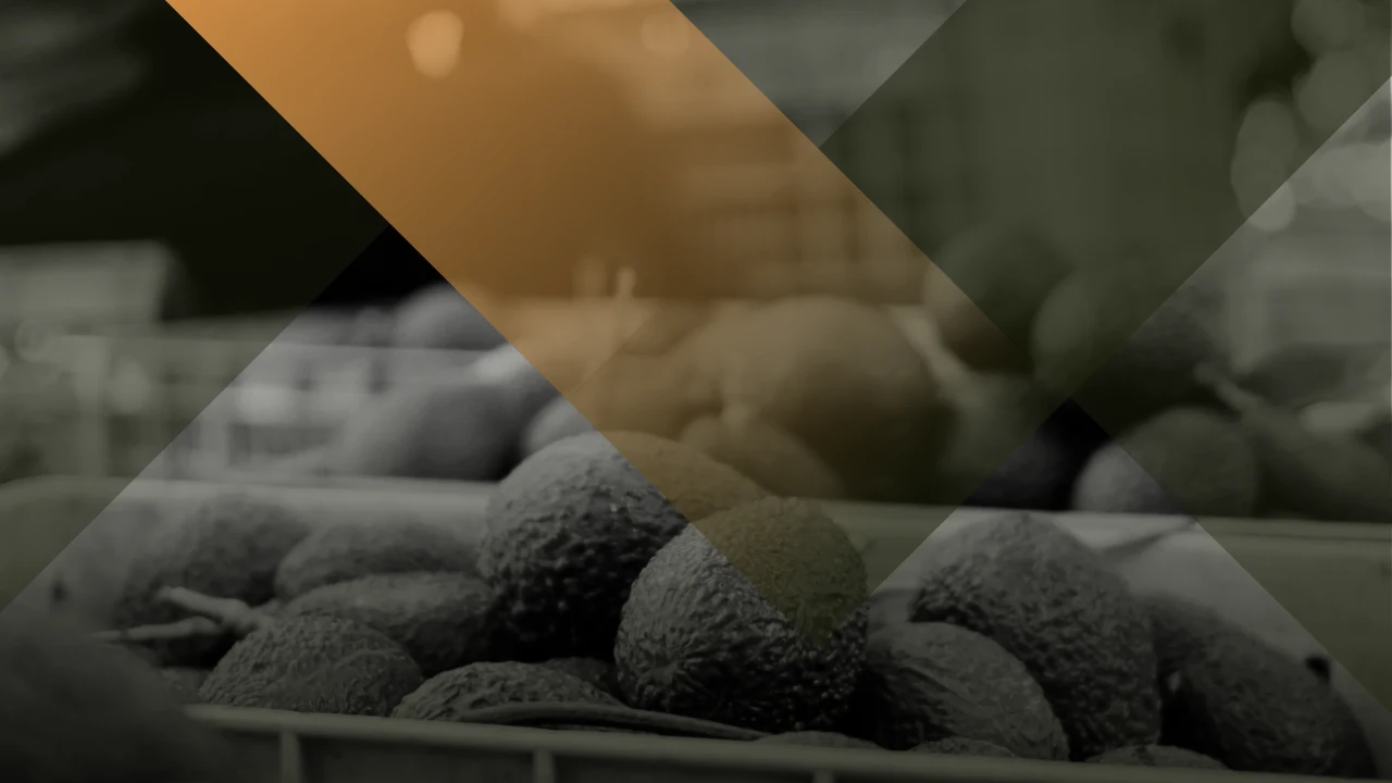 Diplomado en Agroexportaciones