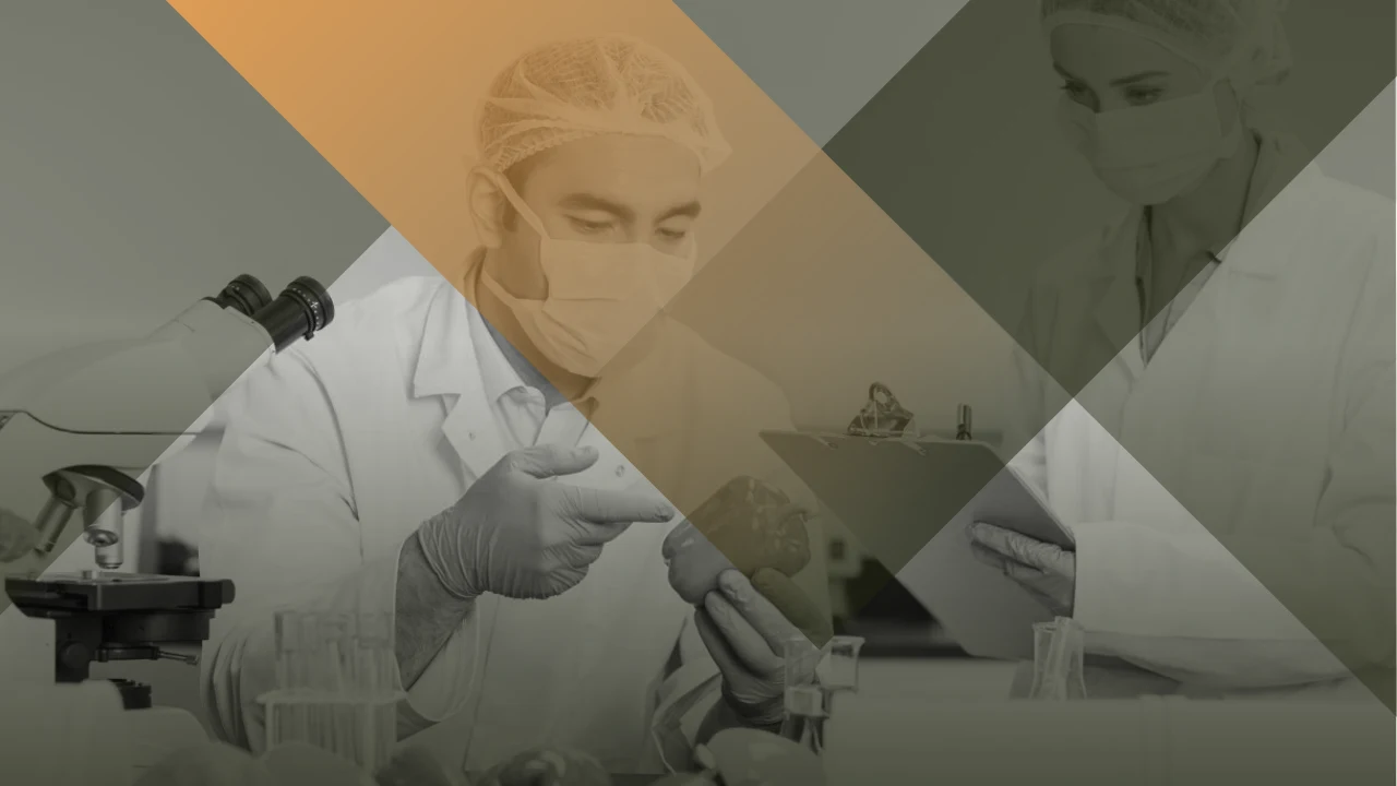 Sistema de Gestión de Inocuidad Alimentaria ISO 22000